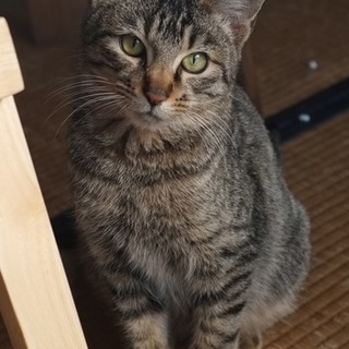 おかげ様で見つかりました。ありがとうございました。