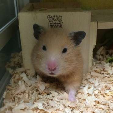 眠そ〜な顔して出てきた（笑）