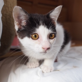 温かい家庭を求めています！！