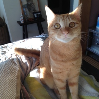 はっちゃけ娘　夕ちゃん