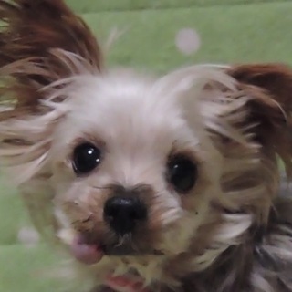 のんびりマッタリで性格最高！大切なものはいつも一緒