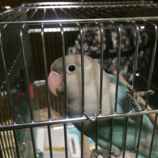 ご応募ありがとうございました