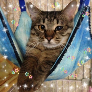少しびびり屋さんな♪翔くん♪
