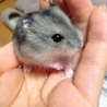 ご応募ありがとうございました。 サムネイル2