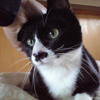 すりすり・甘えっ子ちゃんです。