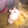 おかげさまで決まりました☆ サムネイル2