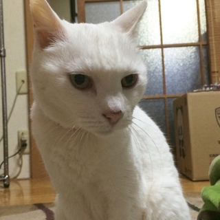 可愛いがってくださる方に‥‥