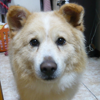 たくさんの人が繋いだ命～とっても穏やかなもずく～