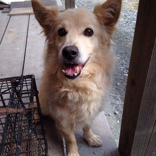 この子の命を救ってください。