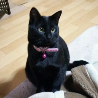 決まりました♪