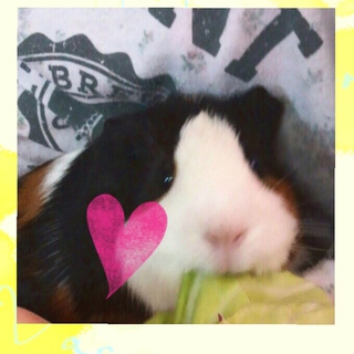 ありがとうございました。
