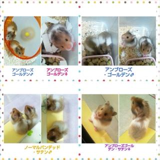 ありがとうございました