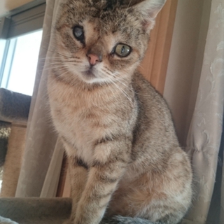 ハンデがあっても元気な1歳未満のすーちゃん