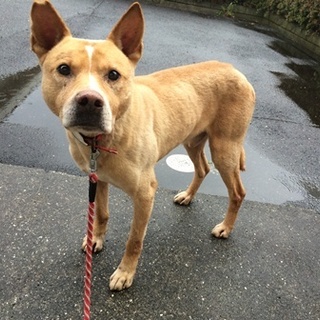 譲渡されました！！