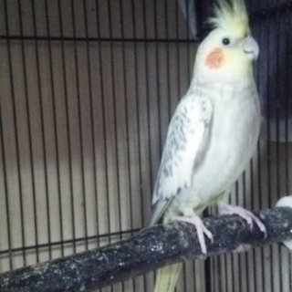 多くのご応募本当にありがとうございました。