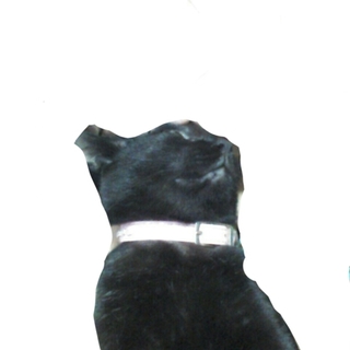 甘えん坊人懐っこい黒猫♀