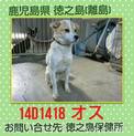 この子の命を救ってください。