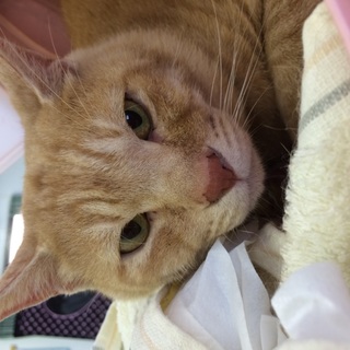 ☆ありがとうございました☆