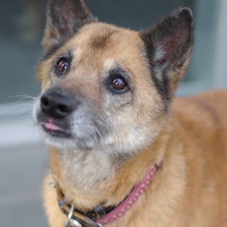 クリっとした大きな瞳がチャームポイント♪