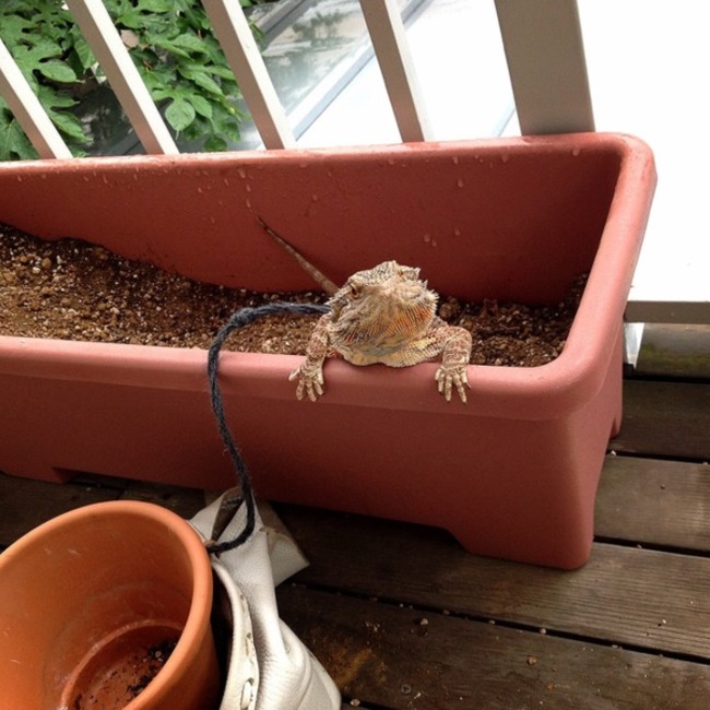 スナフキンよっしーのカバー写真