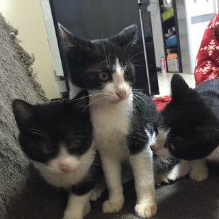 10月生まれの男の子