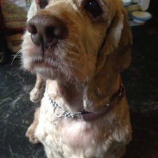 [募集停止]ありがとうございます