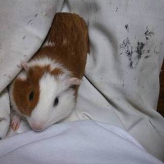 たくさんの応募の為、締め切らせていただきます。