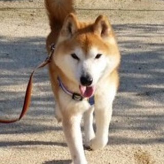 素敵な家族ができました！