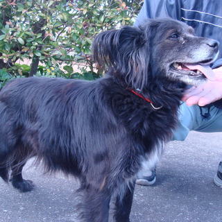 里親さん決まったそうです！！