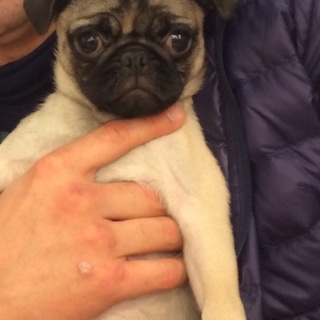 大変温かいご家庭に恵まれました。