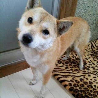 無事決まりました♪