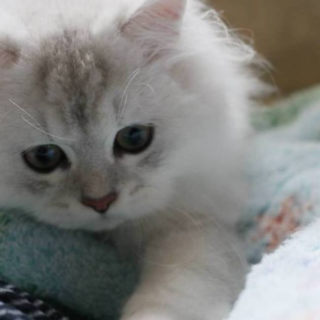 ゆう1326のカバー写真