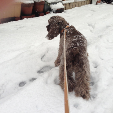 雪大好き！