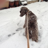 雪大好き！