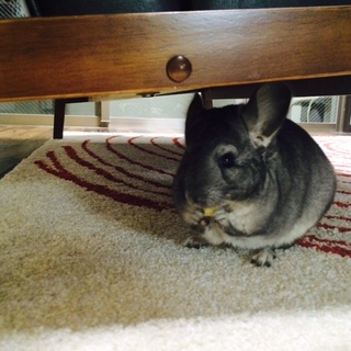 たくさんのご応募、ありがとうございました。