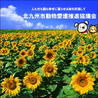 北九州市動物愛護推進協議会...(保護活動者)