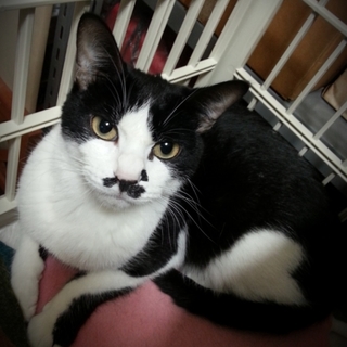 ほくろが魅力のクールビューティー