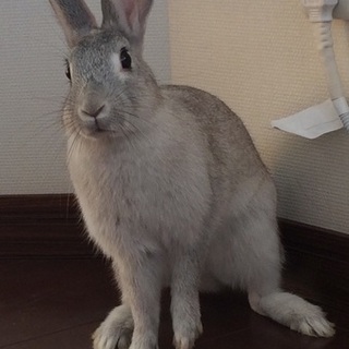 素敵な里親さまに出会えました。