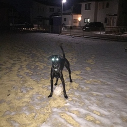 宇宙人現わる！！