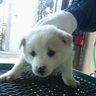 無事に決まりました！