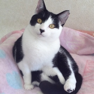 マイペースなピーくん