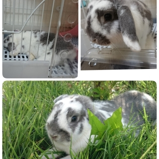 家族として迎え入れてくれる方