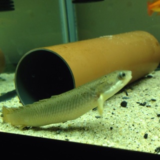 いい方に引き取って頂きました^o^