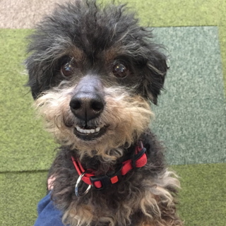 ☆人懐っこい、がっくんだよ☆