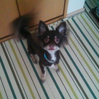 お申し込み頂いた皆様、ありがとうございました。