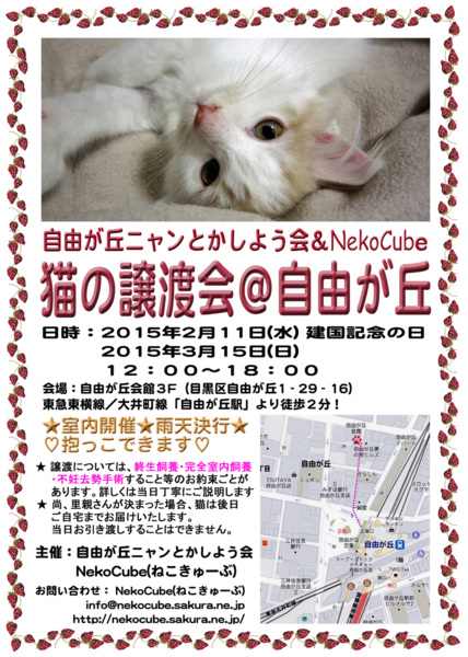 ねこの譲渡会 自由が丘 のらみいのイベント 32 ペットのおうち 月間利用者150万人