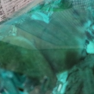 ゴールデンハムスターオス1/17、19日生まれ3匹