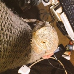 オルガさんの1日＆婿、仲間探し。