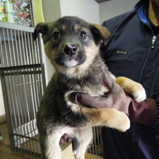 それぞれ譲渡されました！！