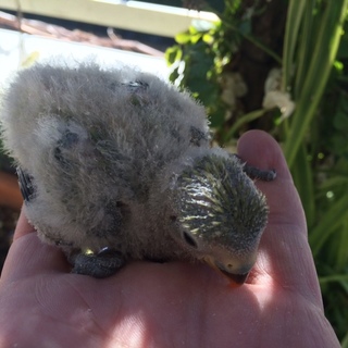 ご応募ありがとうございました。